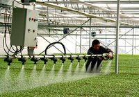 蘑菇视频在线观看高清完整版免费下载系统